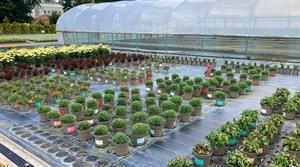 peat free trials